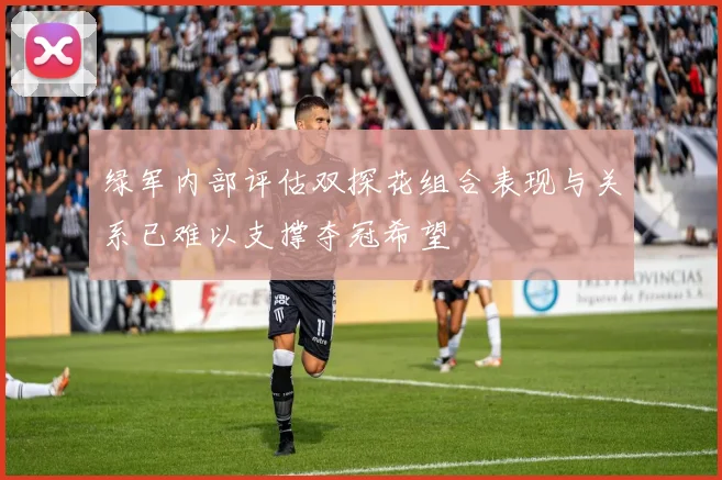 绿军内部评估双探花组合表现与关系已难以支撑夺冠希望