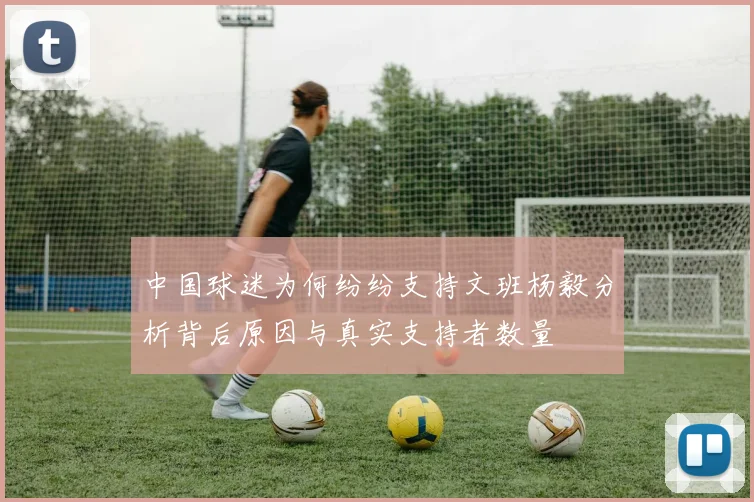中国球迷为何纷纷支持文班杨毅分析背后原因与真实支持者数量